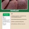 मुलांसाठी पौष्टिक आणि परिपूर्ण शाळेचा डबा